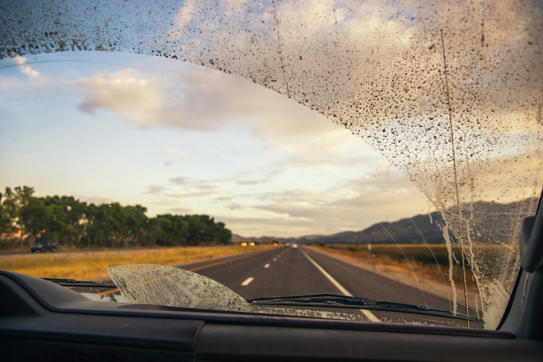 When Should I Replace My Wiper Blades?